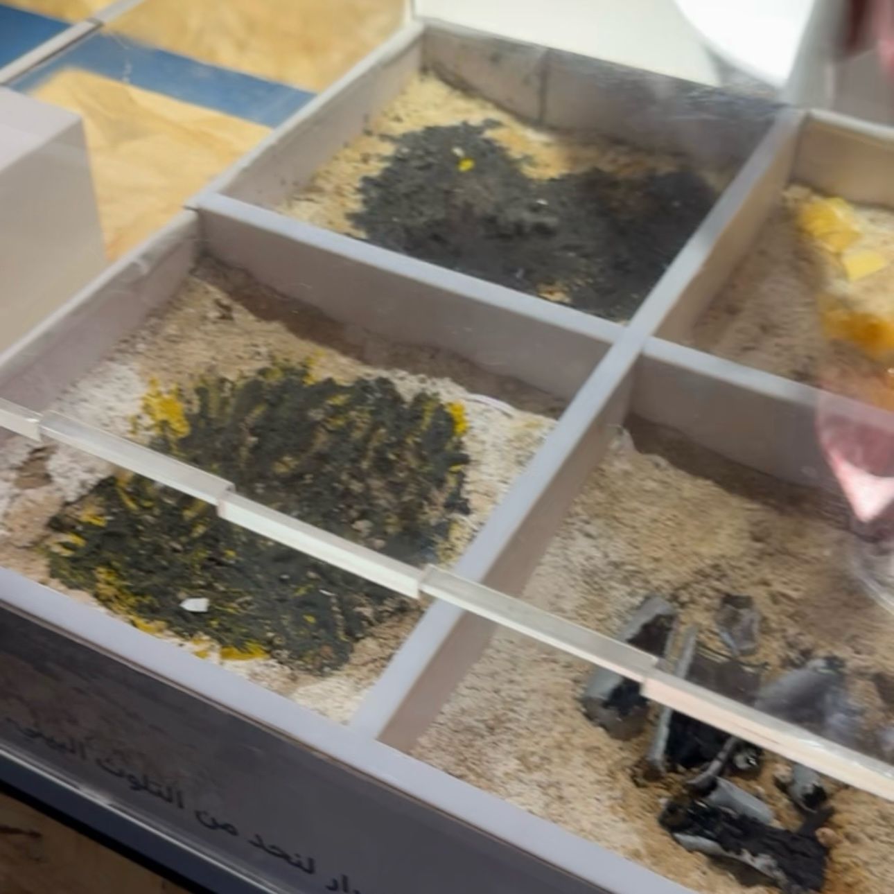 Blog Image 5