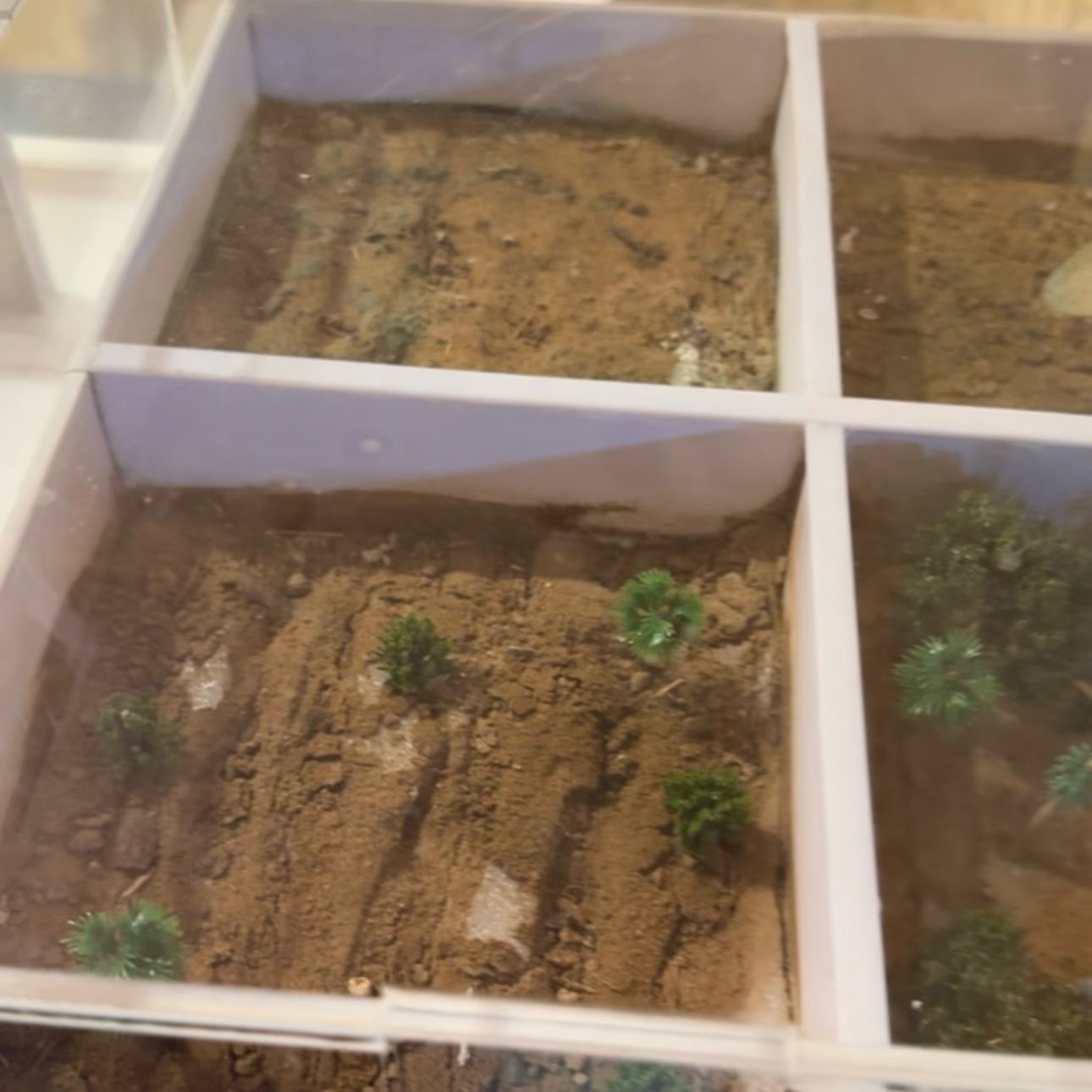 Blog Image 4